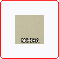 Mocha Colored Spa Cover